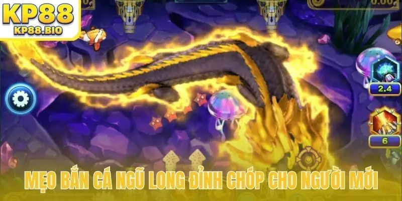 Mẹo bắn cá Ngũ Long đỉnh chóp cho người mới