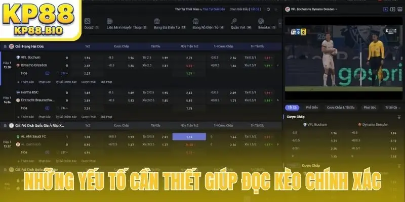Những yếu tố cần thiết giúp đọc kèo chính xác